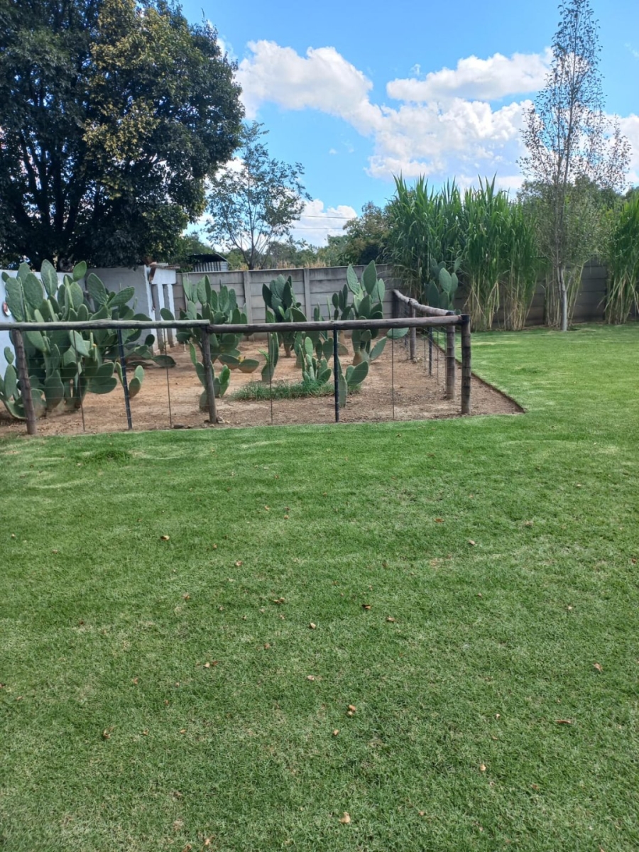 3 Bedroom Property for Sale in Senekal Free State
